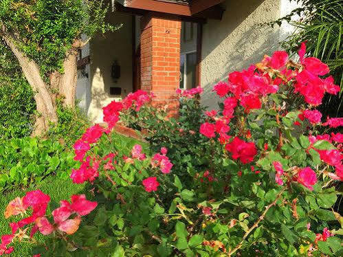 Romantic And Luxury Disney Villa Anaheim Eksteriør billede